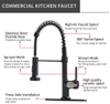 FLG Kitchen Sink Faucet,Single Handle Kitchen Faucet with Pull Down Sprayer,Commercial Spring Faucet for Kitchen Sink with Deck Plate, Matte Black