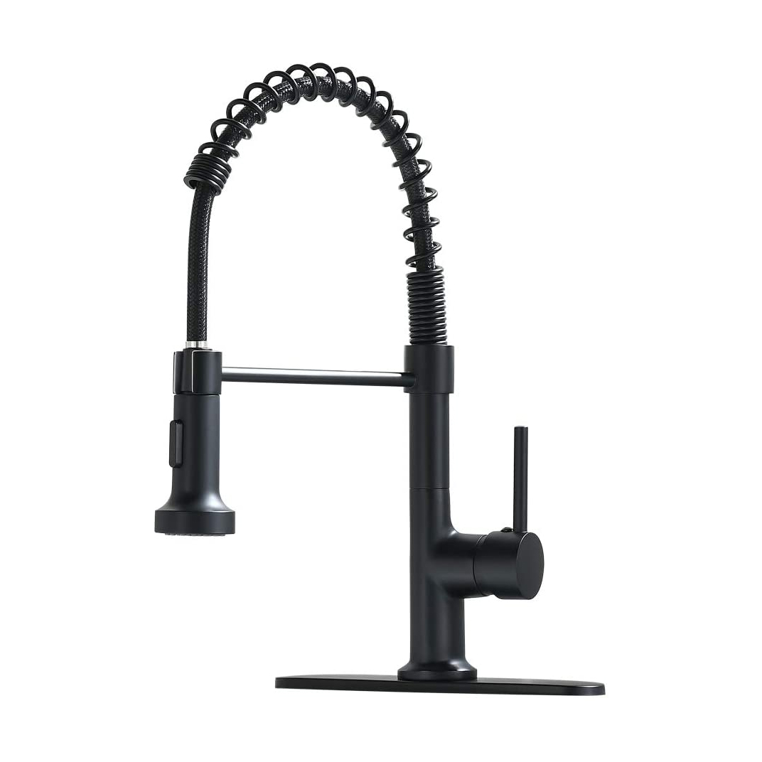 FLG Kitchen Sink Faucet,Single Handle Kitchen Faucet with Pull Down Sprayer,Commercial Spring Faucet for Kitchen Sink with Deck Plate, Matte Black
